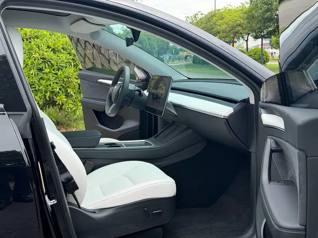 Tesla Model Y — миниатюра 18