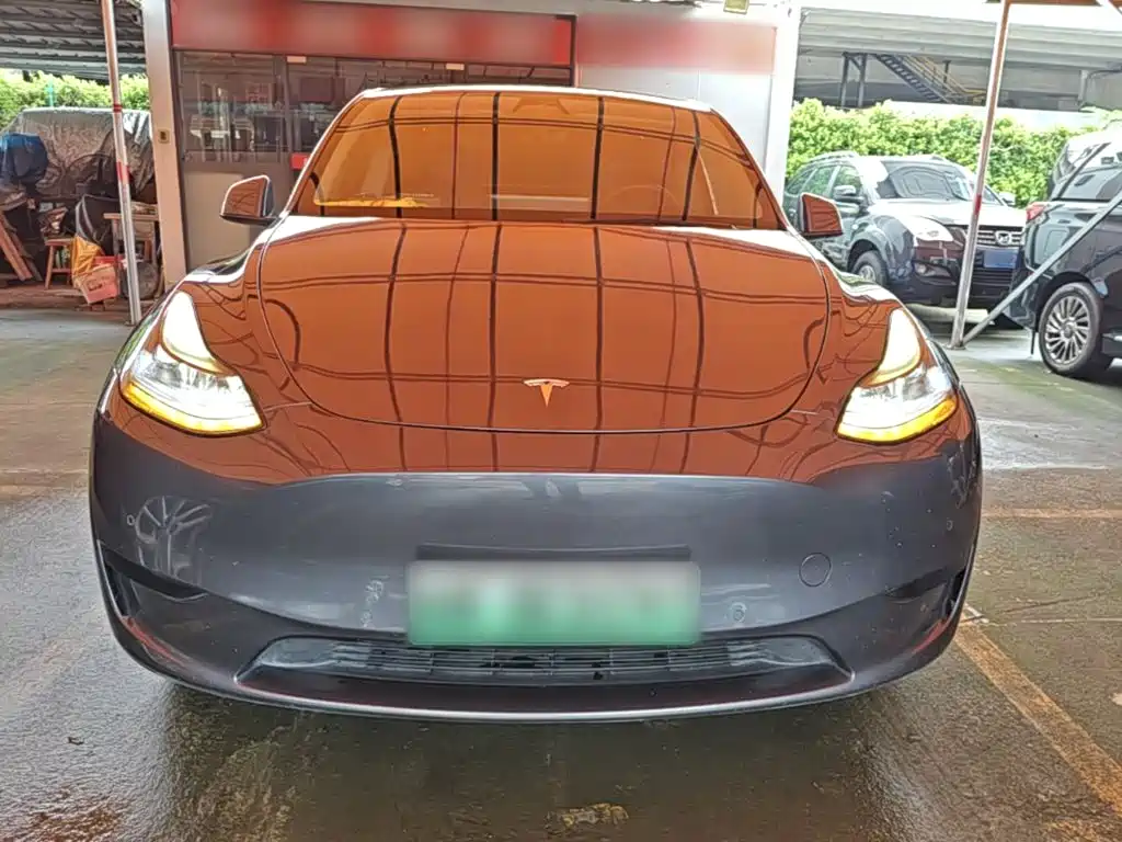 Tesla Model Y — миниатюра 3