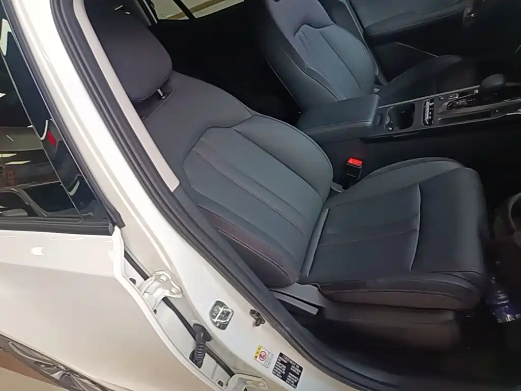 GAC Motor GS4 Hybrid — миниатюра 25