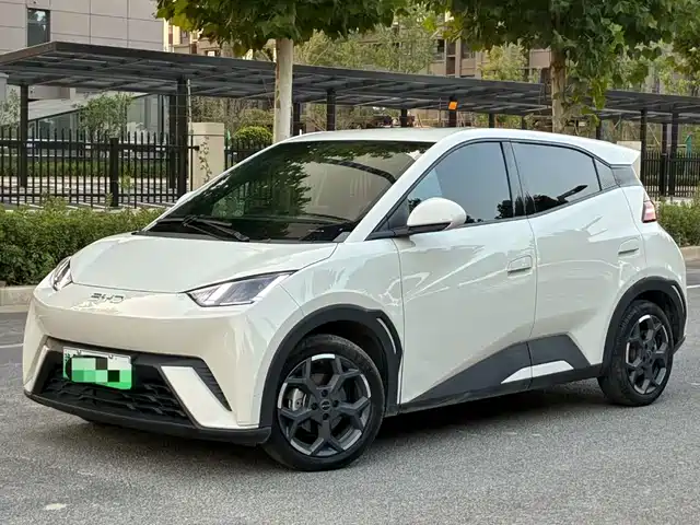 BYD 海鸥