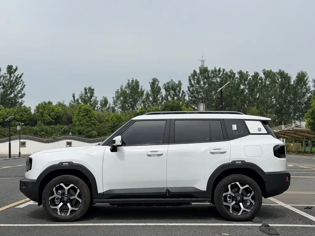 Shanhai Shanhai T1 — миниатюра 4