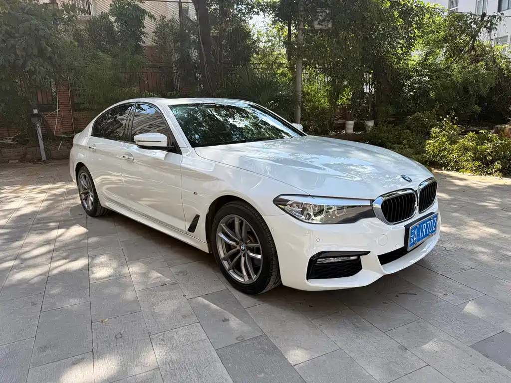 BMW 5 Series (Import) — миниатюра 3