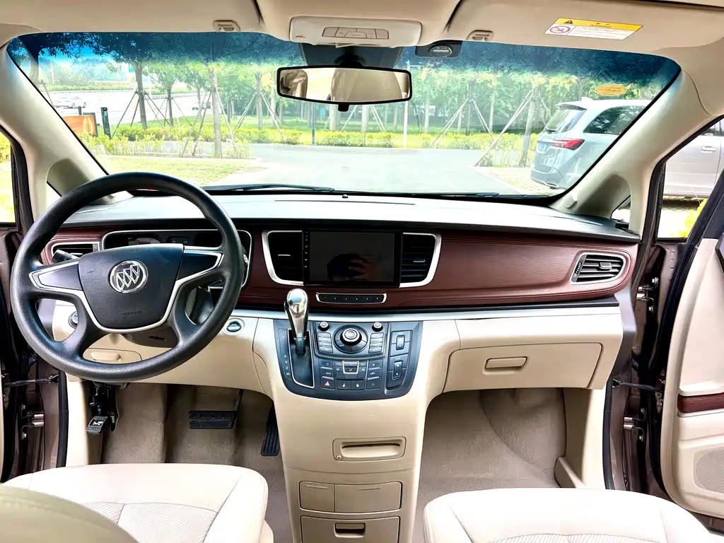 Buick GL8 — миниатюра 11