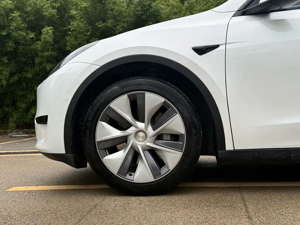 Tesla Model Y — миниатюра 10