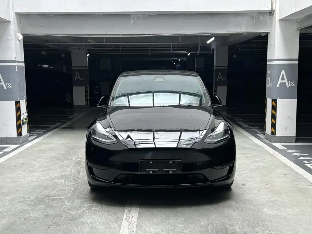 Tesla Model Y — миниатюра 2