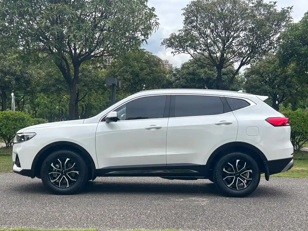 Haval H6 — миниатюра 8