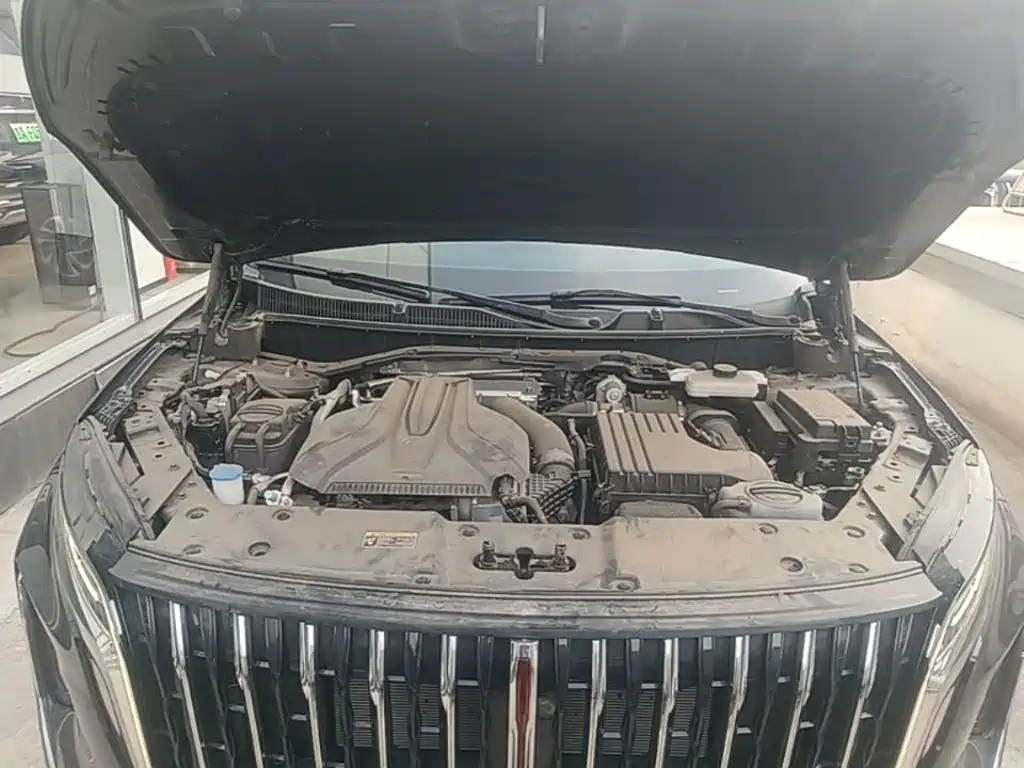Hongqi Hongqi HS7 PHEV — миниатюра 20