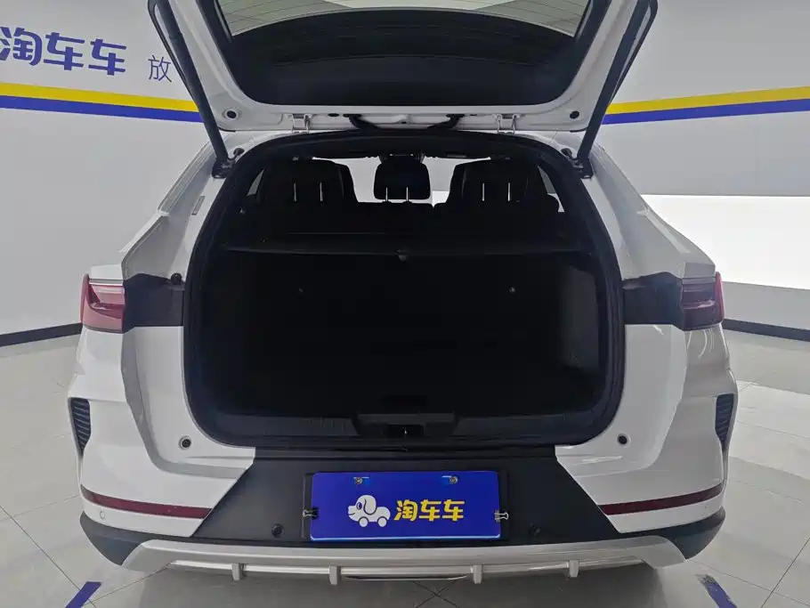 BYD PLUS — миниатюра 4