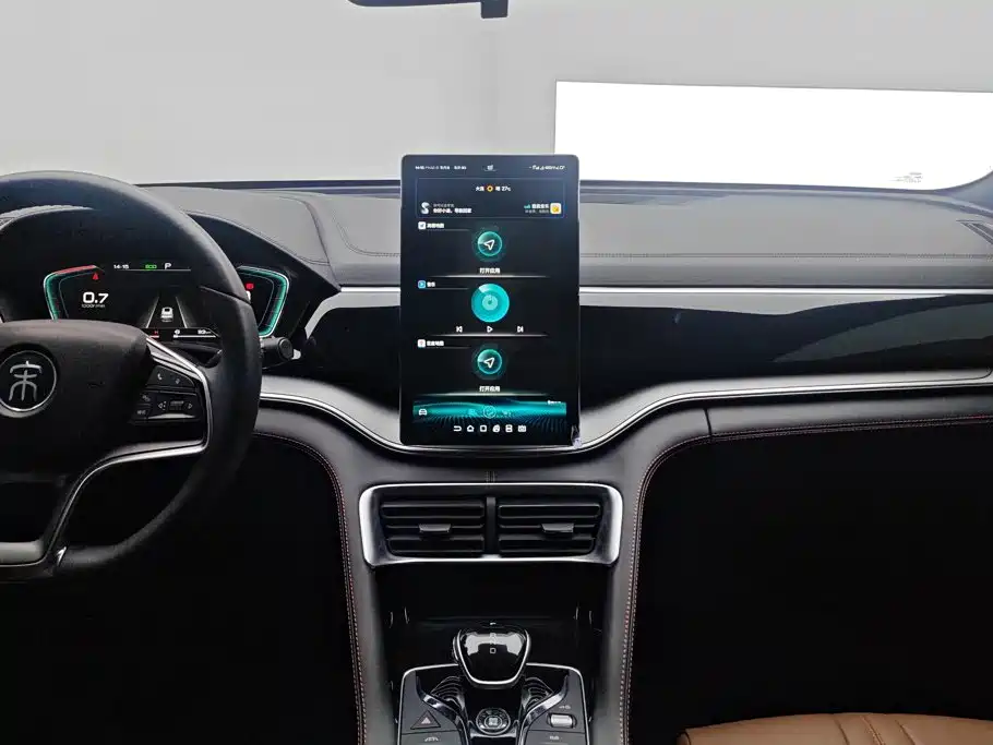 BYD PLUS — миниатюра 13