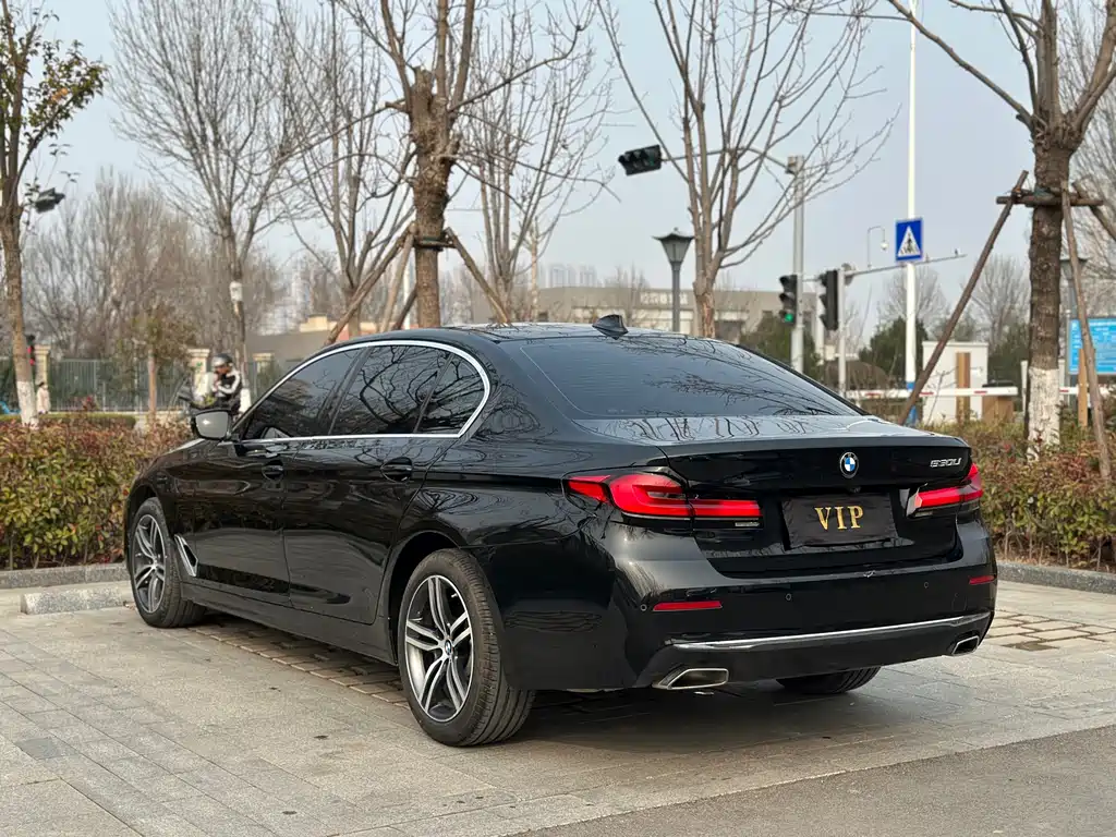 BMW 5 Series 5 2021 530Li Lead Luxury