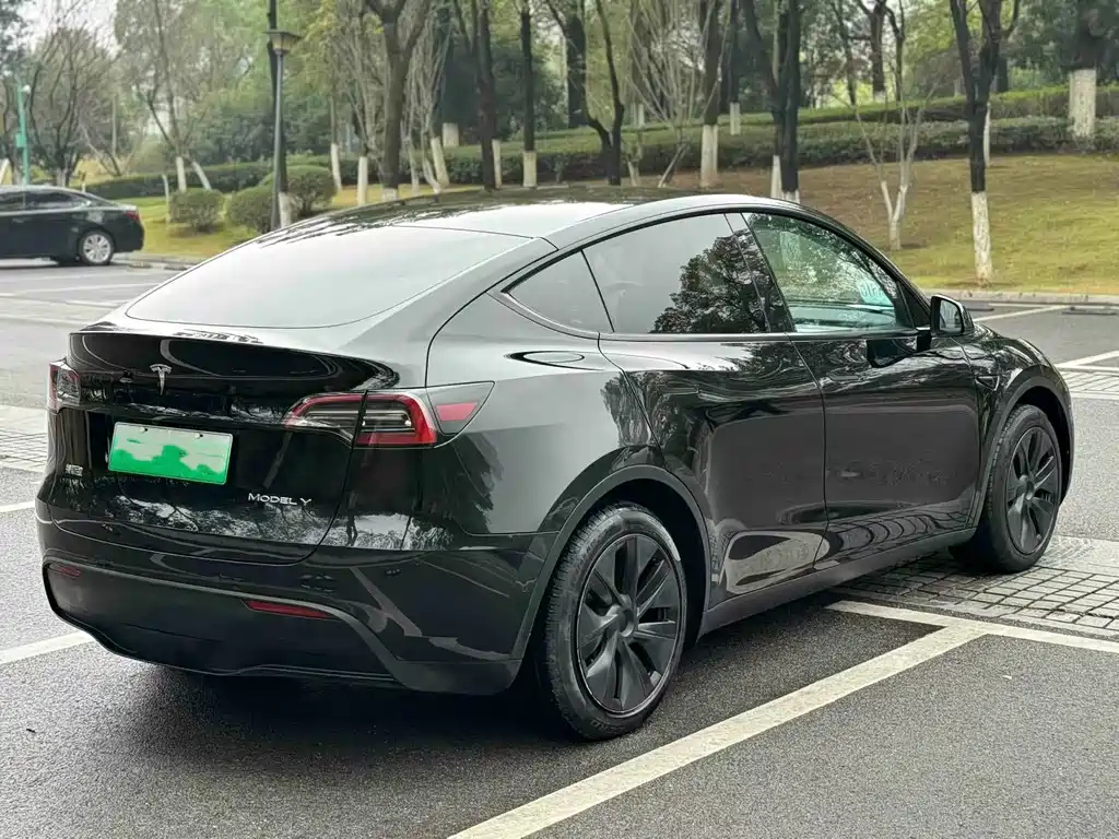 Tesla Model Y — миниатюра 7