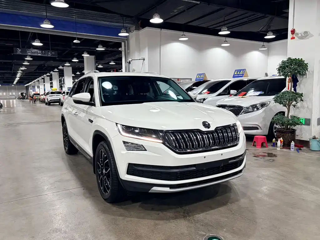 Skoda Kodiaq — миниатюра 2