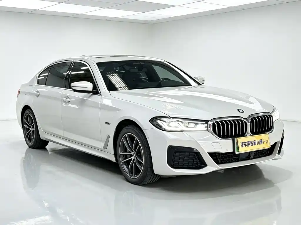 BMW 5 Series New Energy