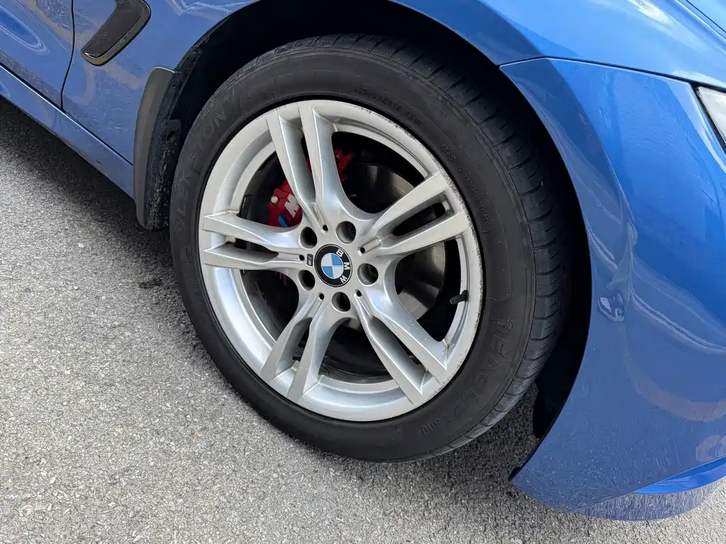 BMW 3 Series GT 320i M Sport Type, фото 6