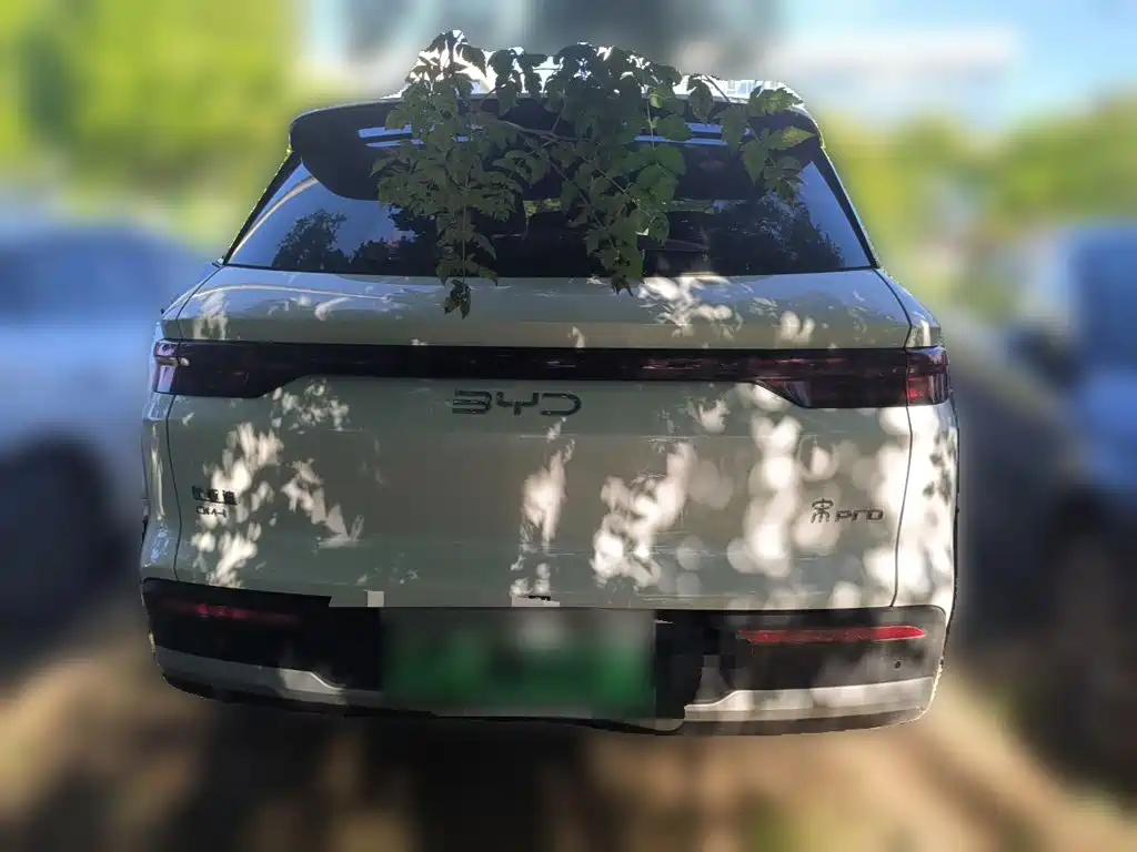 BYD Pro New Energy — миниатюра 5
