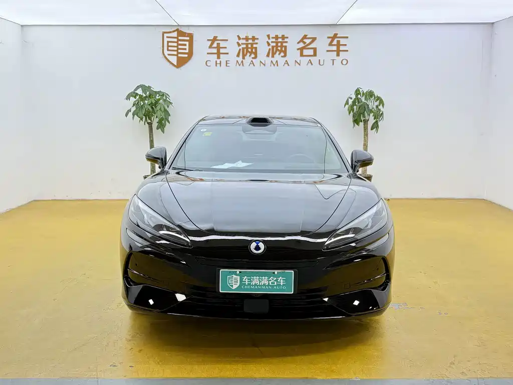 Denza Denza Z9GT — миниатюра 2