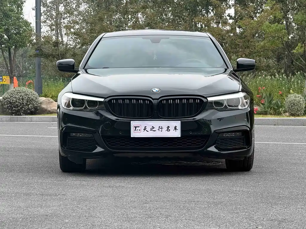 BMW 5 Series — миниатюра 2