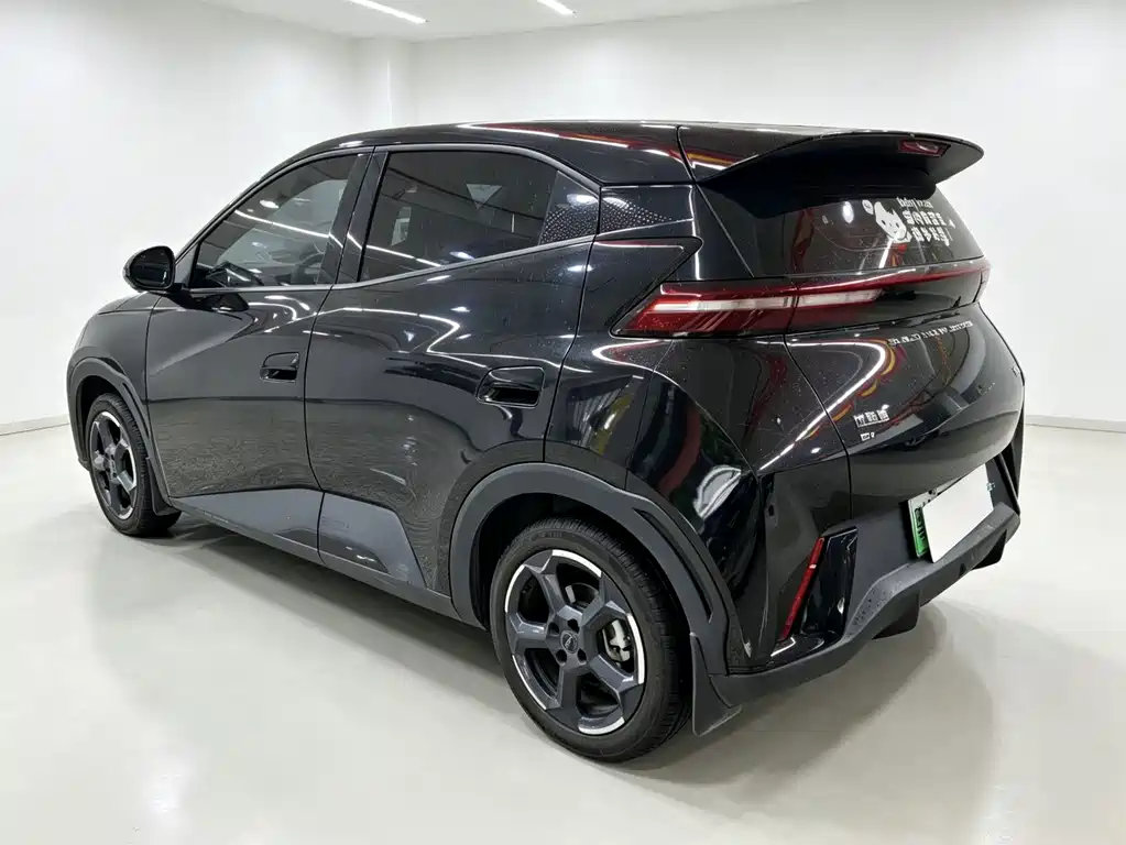 BYD Seagull — миниатюра 7