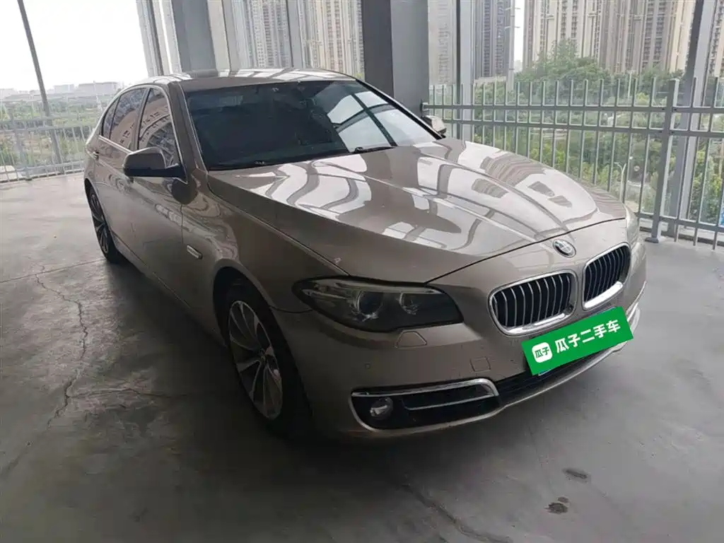 BMW 5 Series 5 2017 528Li Lead