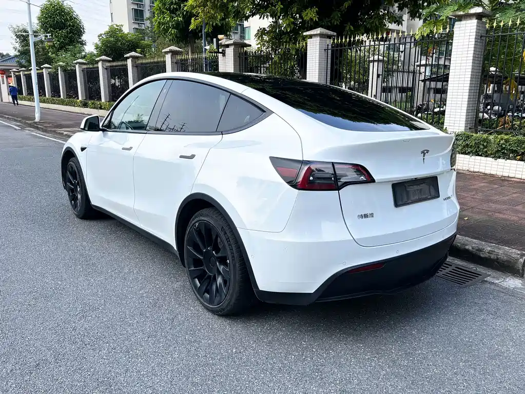 Tesla Model Y — миниатюра 6