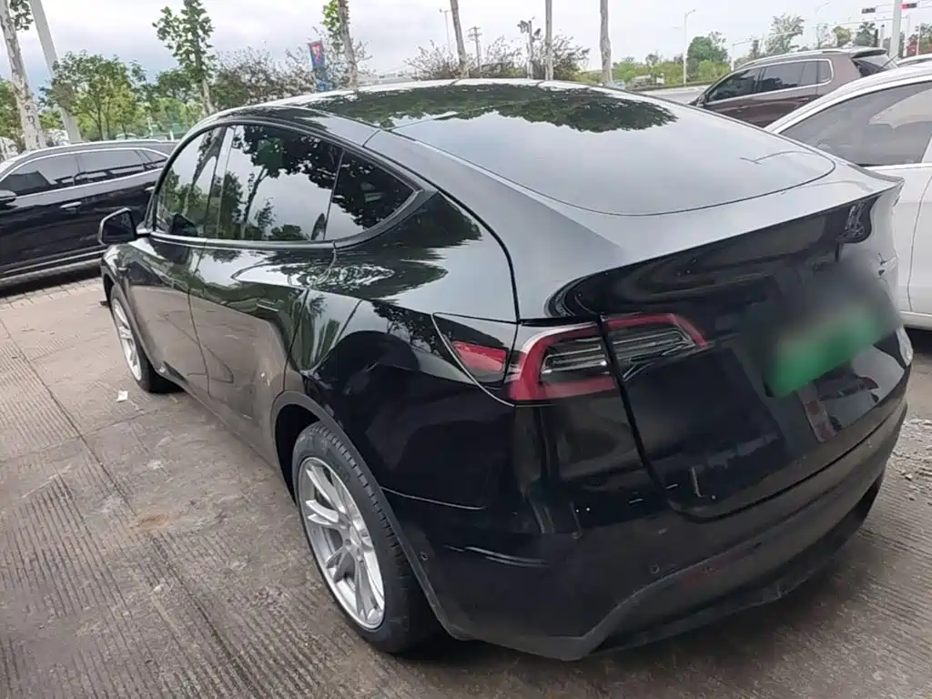 Tesla Model Y — миниатюра 5