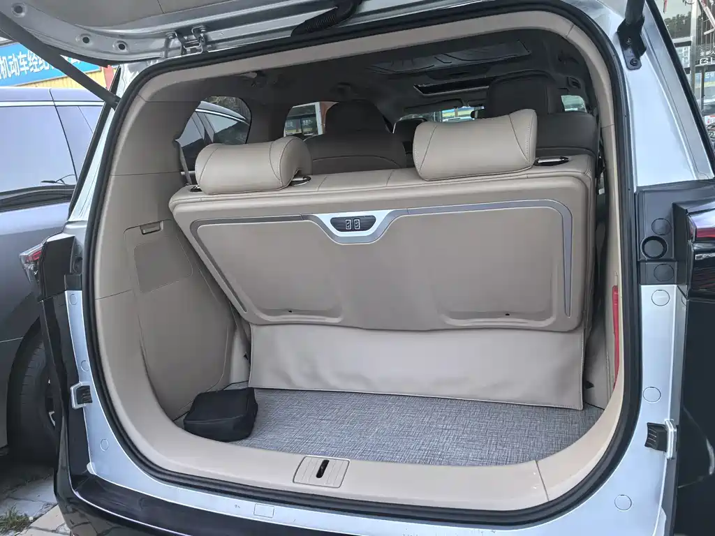 Buick GL8 — миниатюра 11