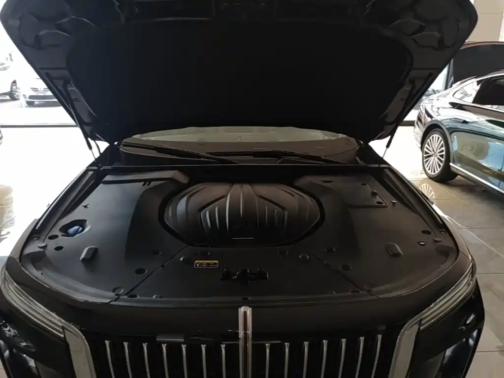 Hongqi Hongqi H9 — миниатюра 20