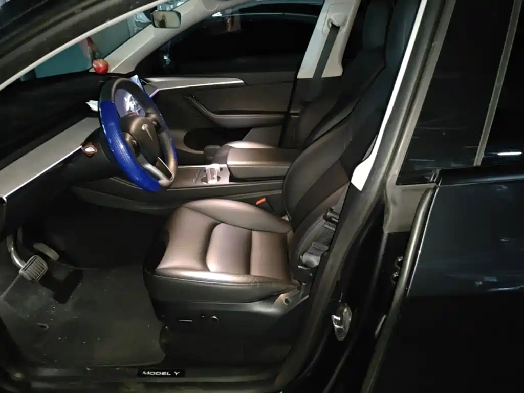 Tesla Model Y — миниатюра 15