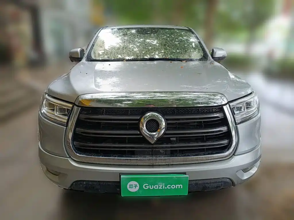 Great Wall Pao — миниатюра 24