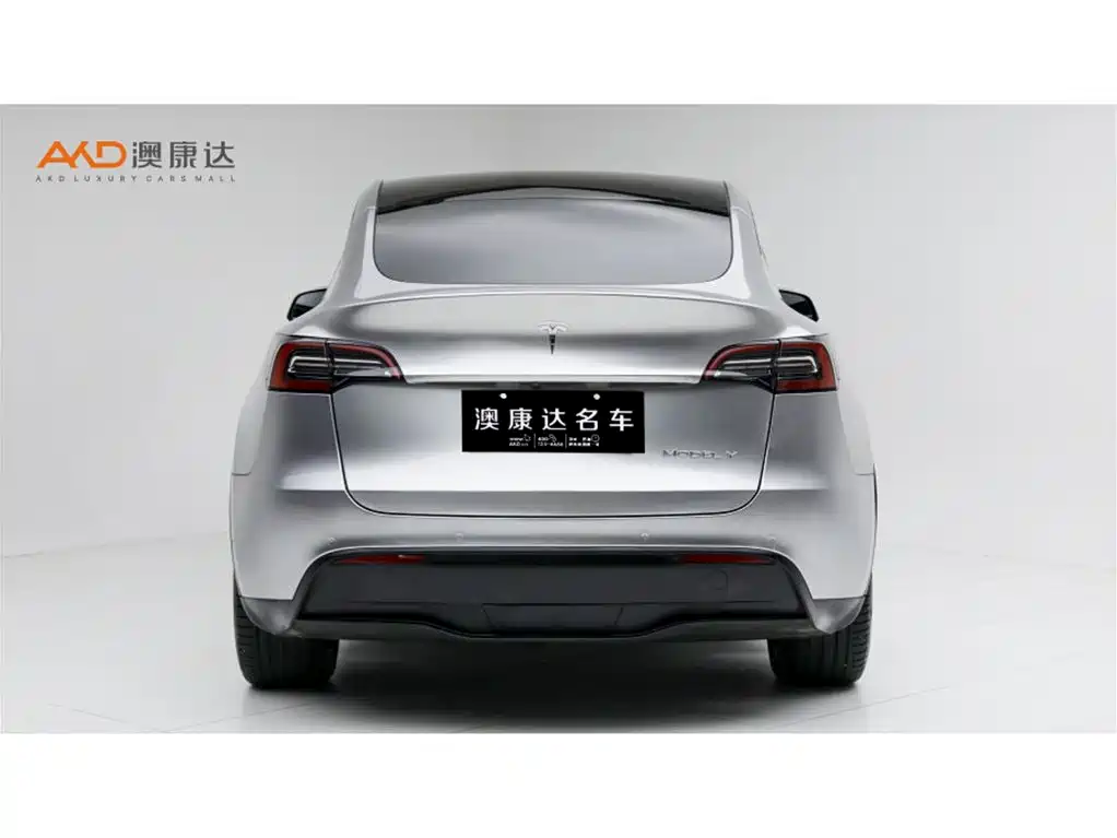 Tesla Model Y — миниатюра 4