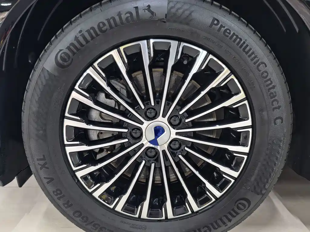 Denza Denza D9 — миниатюра 13