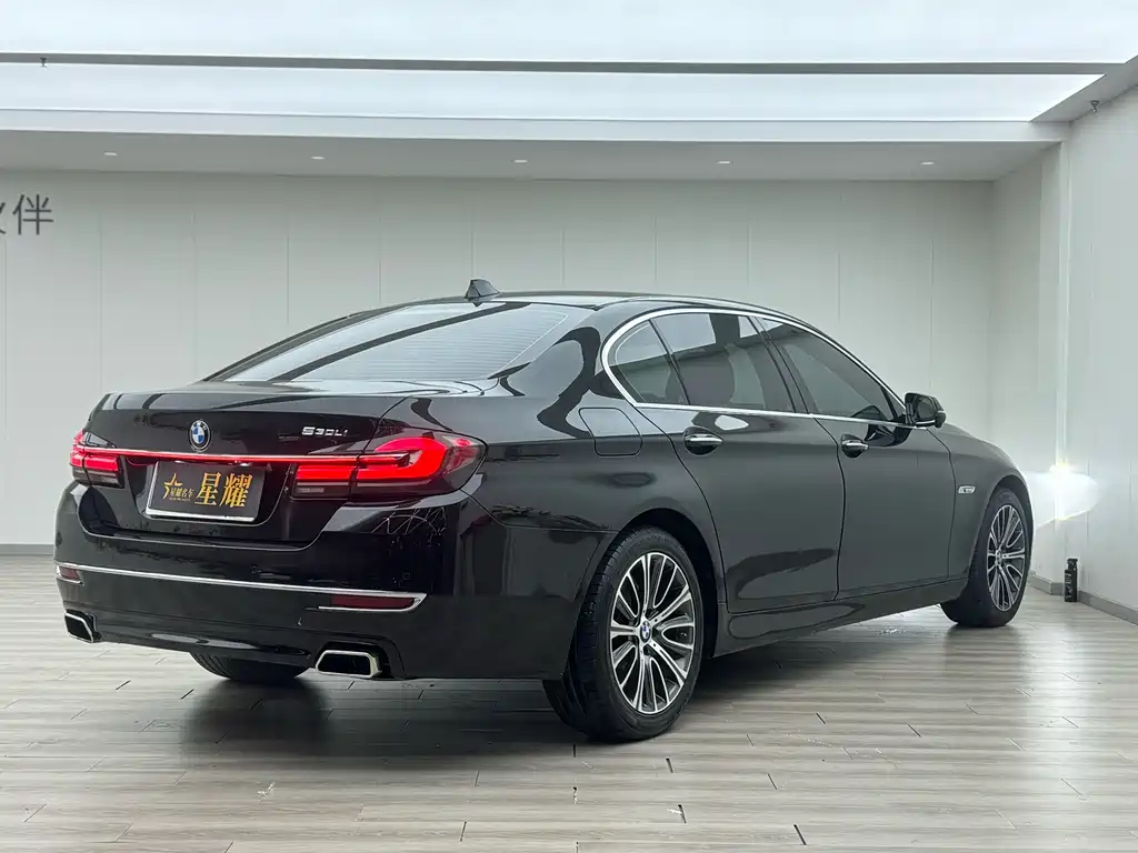 BMW 5 Series — миниатюра 19