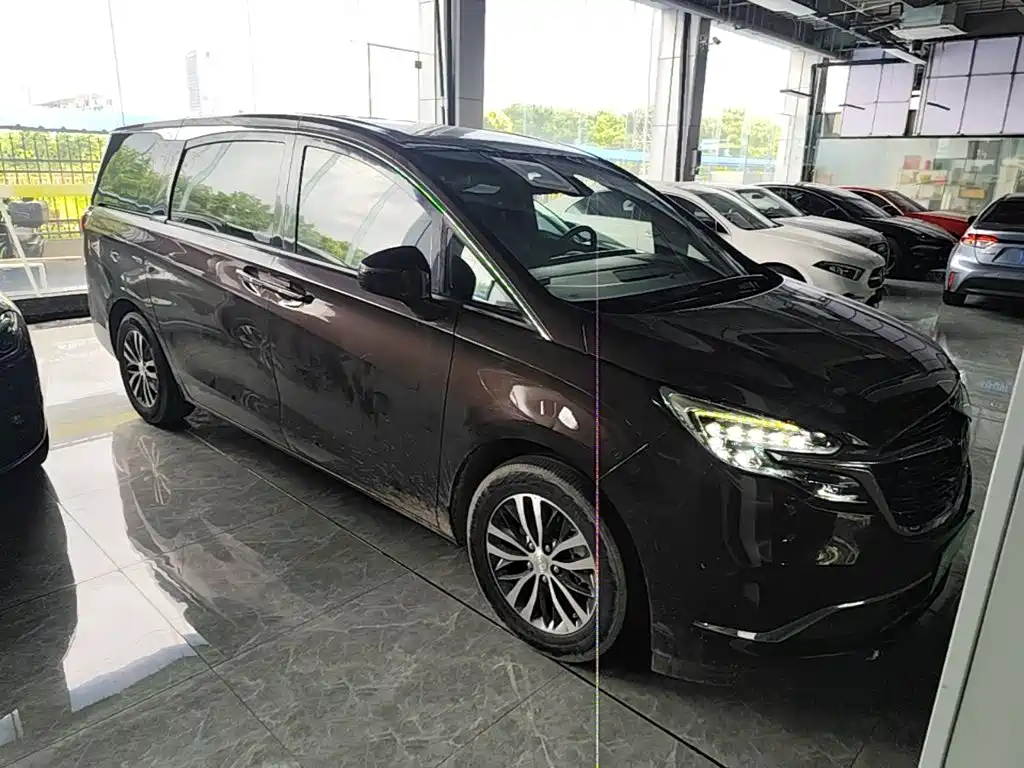 Buick GL8 — миниатюра 4
