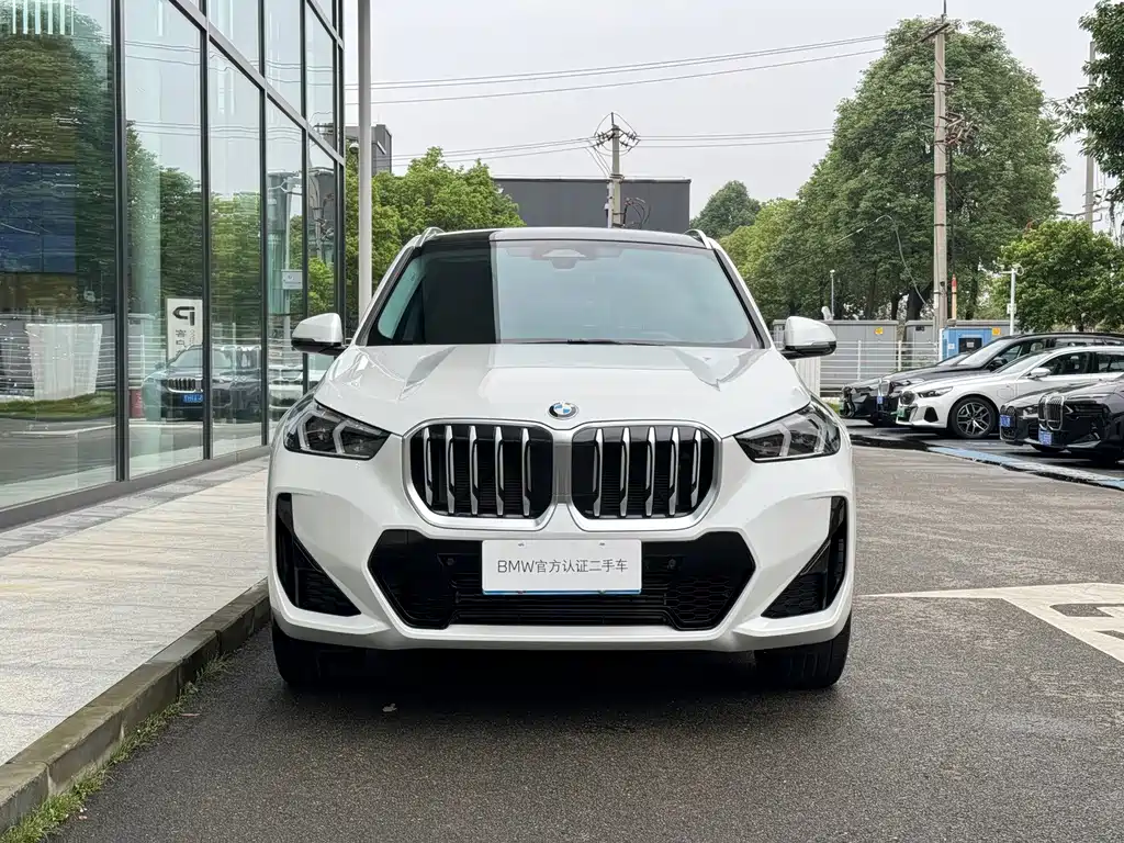 BMW X1 — миниатюра 2