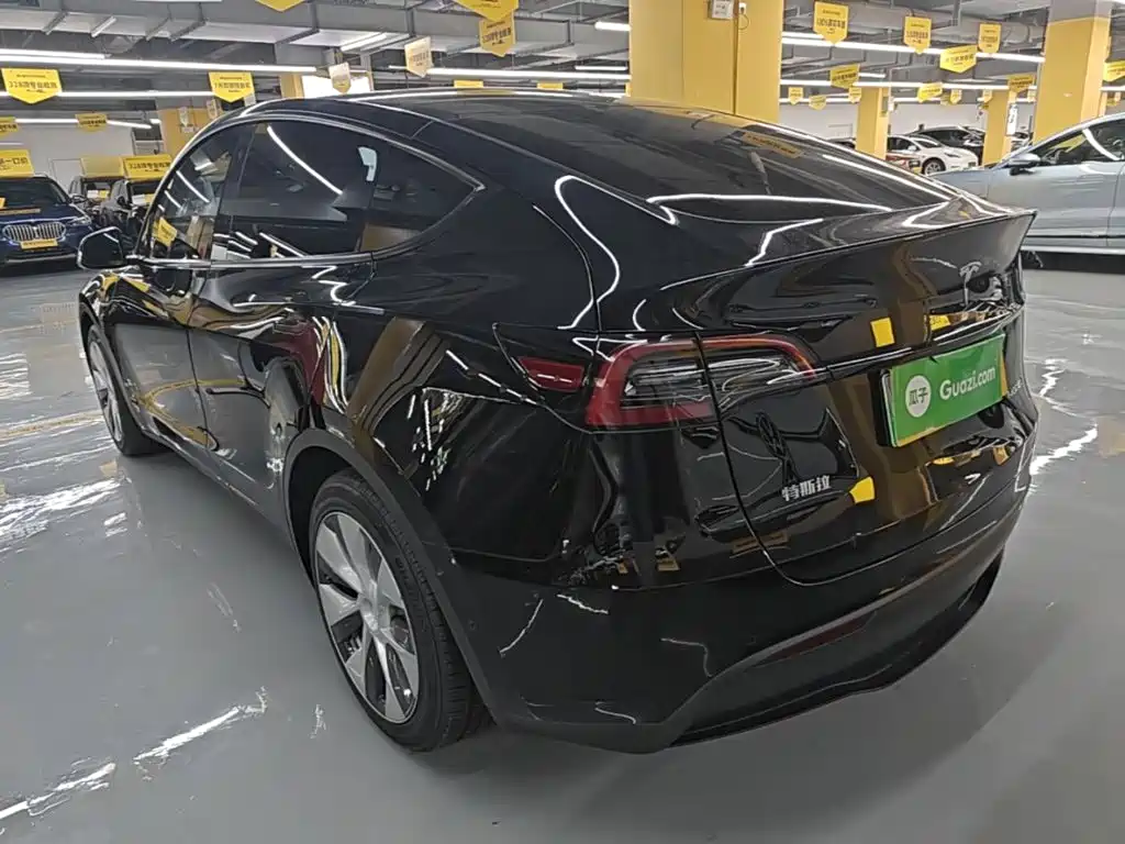 Tesla Model Y — миниатюра 5