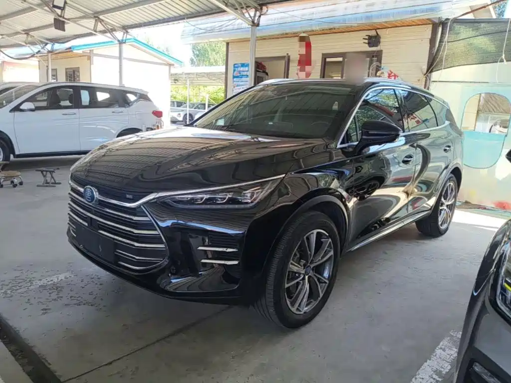 BYD Tang New Energy — миниатюра 2