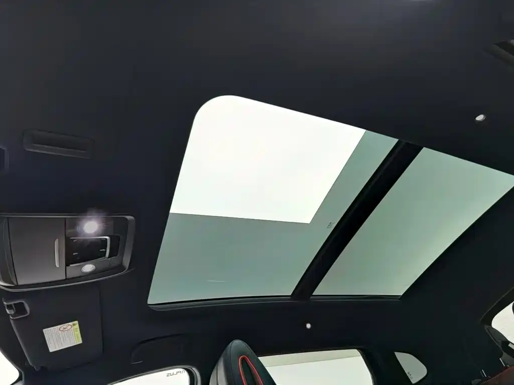 BYD PLUS — миниатюра 14