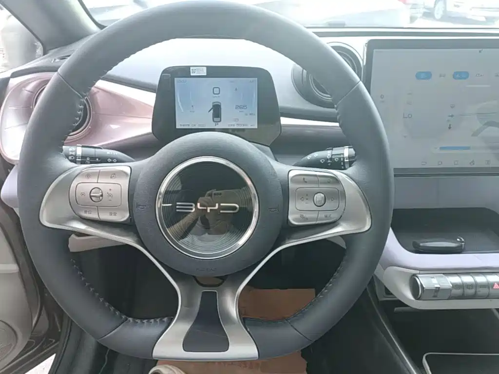 BYD Dolphin — миниатюра 11