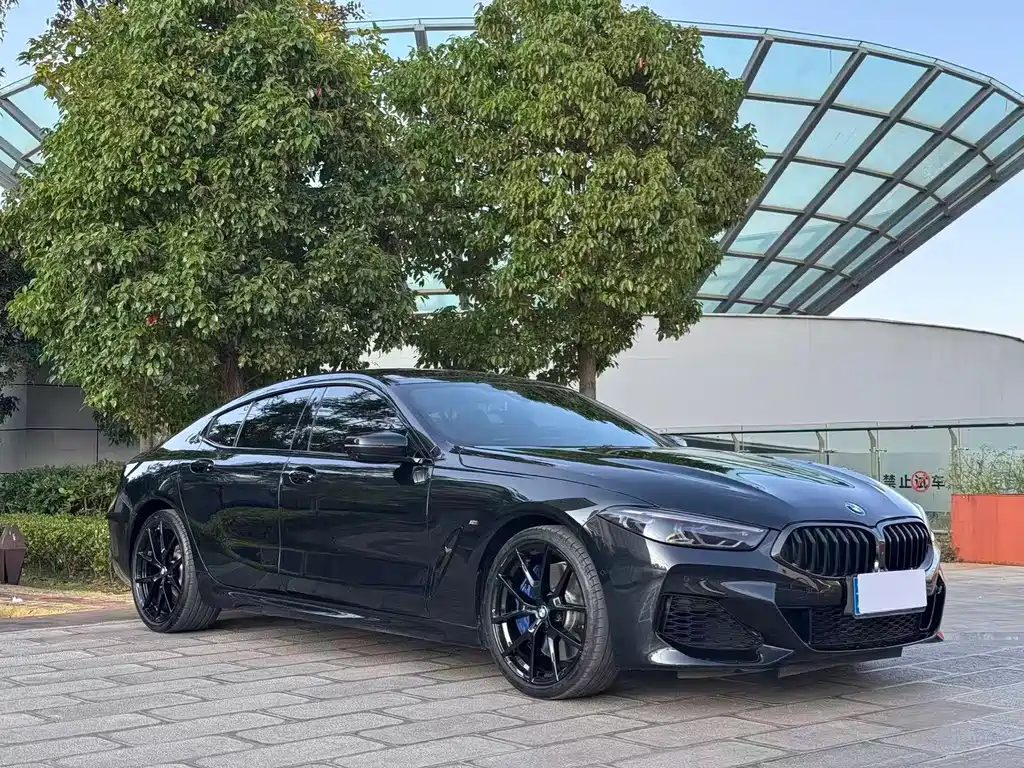 BMW 8 Series — миниатюра 3