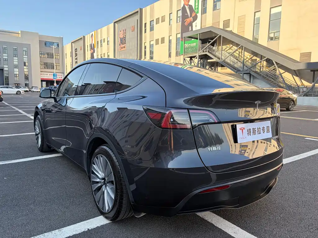 Tesla Model Y — миниатюра 7