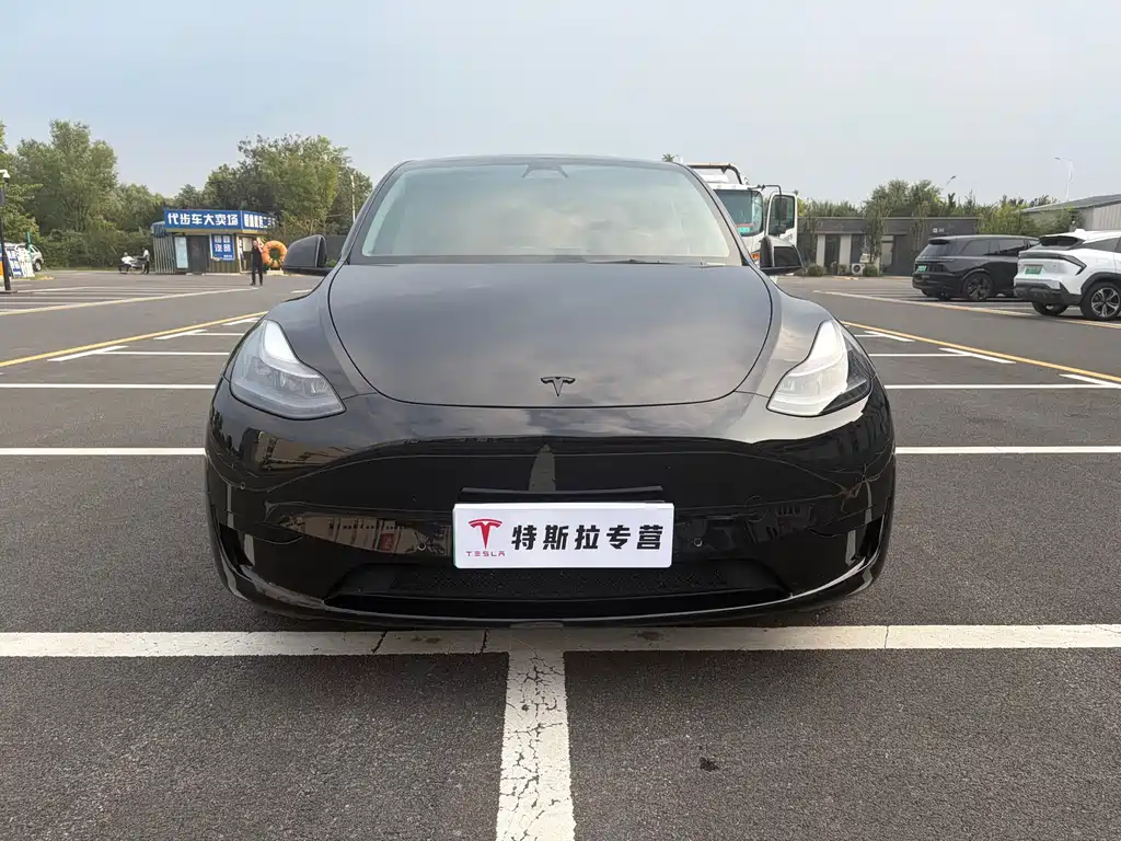 Tesla Model Y — миниатюра 2
