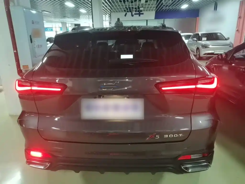 Oshan Oushang X5 — миниатюра 6