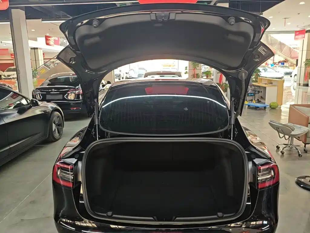 Tesla Model 3 — миниатюра 19