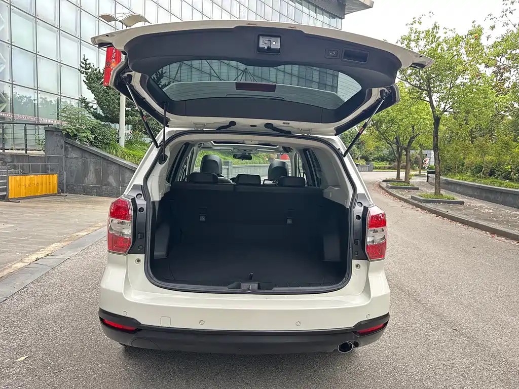 Subaru Forester — миниатюра 14