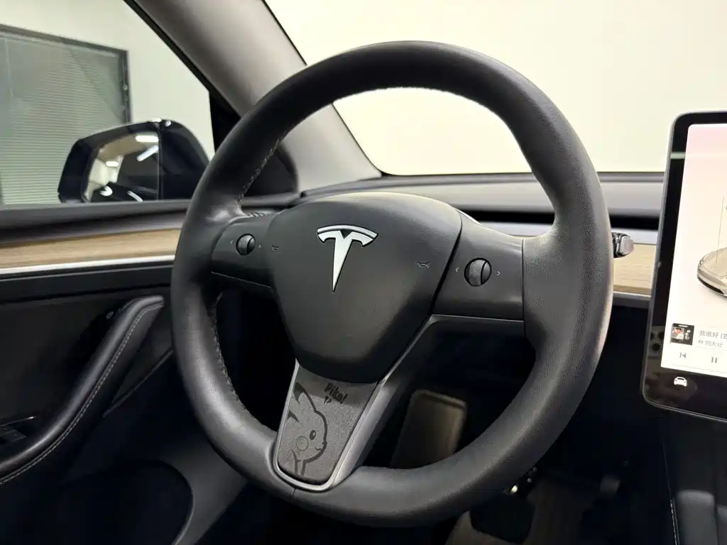 Tesla Model Y — миниатюра 13