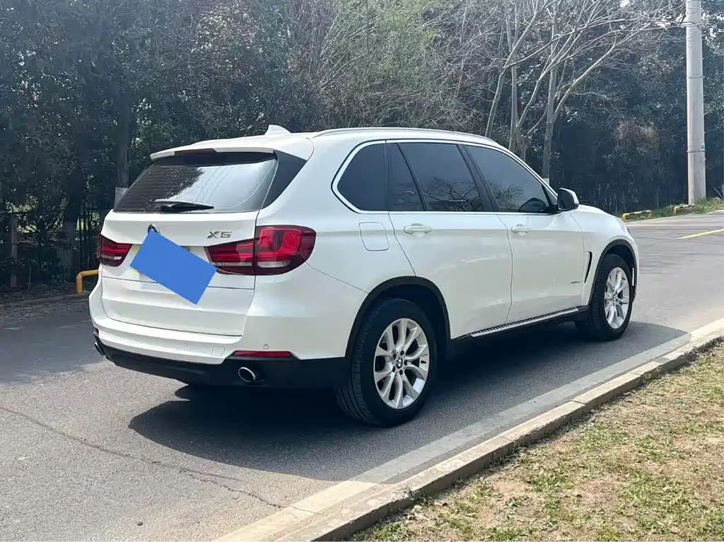 BMW X5 (Import) — миниатюра 5