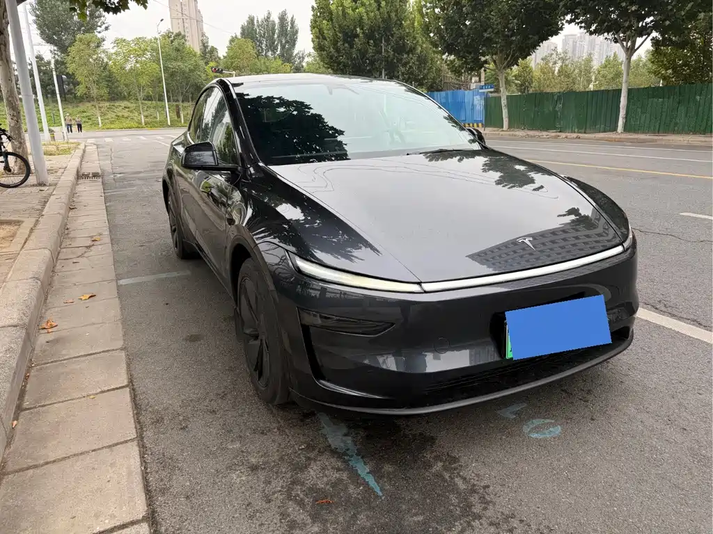 Tesla Model Y — миниатюра 2