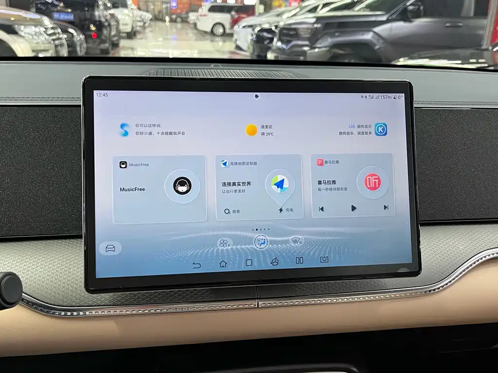 BYD Pro New Energy - фото 11