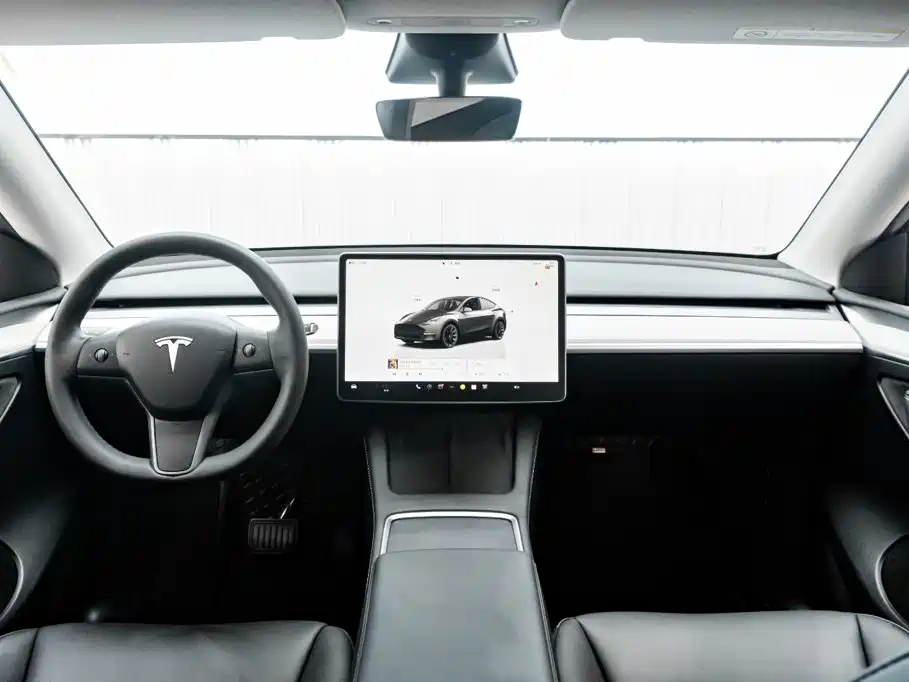 Tesla Model Y — миниатюра 13