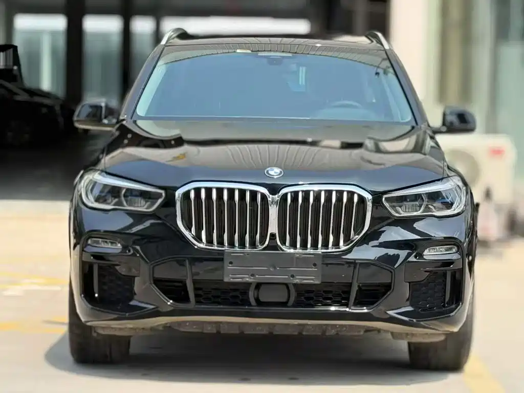 BMW X5 (Import) — миниатюра 2